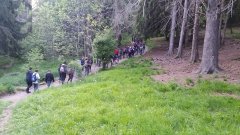 Adorazione Eucaristica al Bolettone.jpg